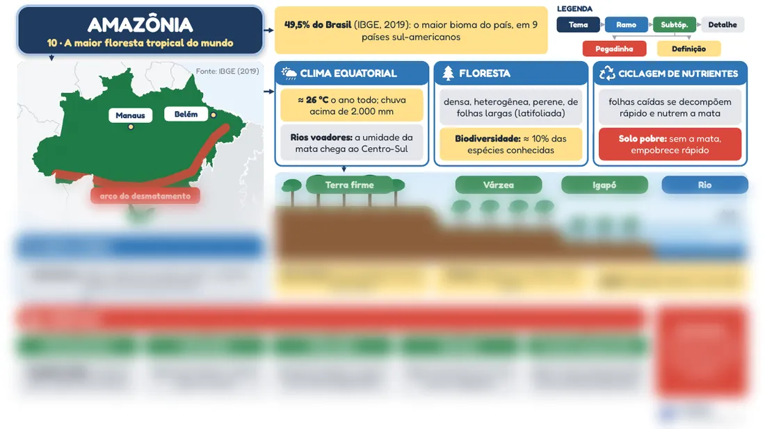Prévia do mapa mental 10, Amazônia