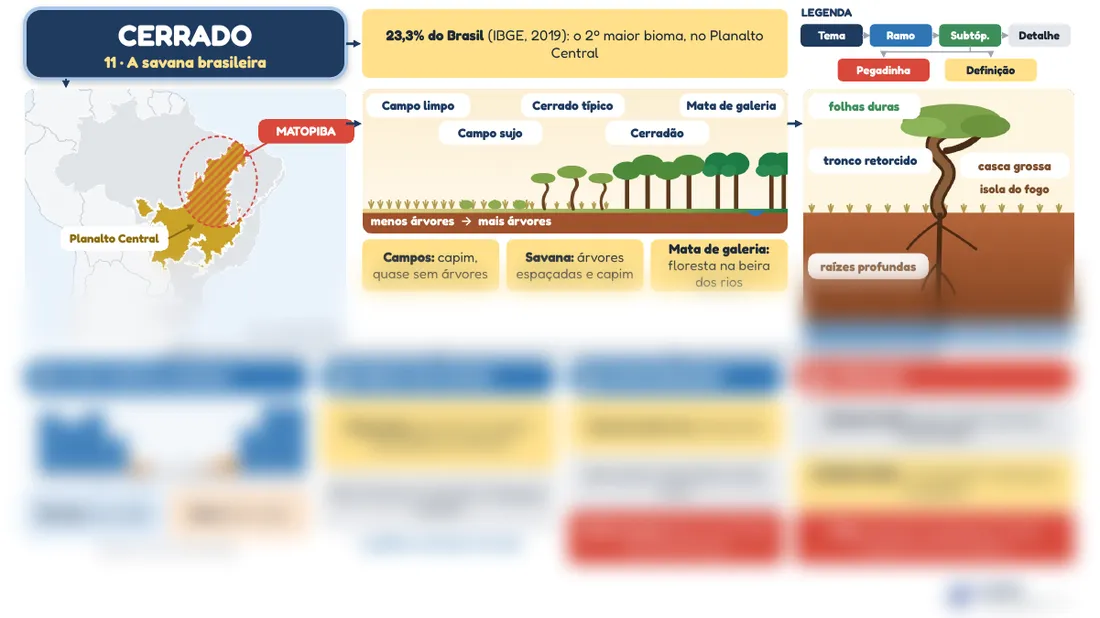 Prévia do mapa mental 11, Cerrado
