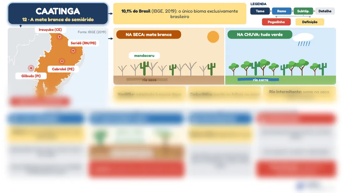 Prévia do mapa mental 12, Caatinga