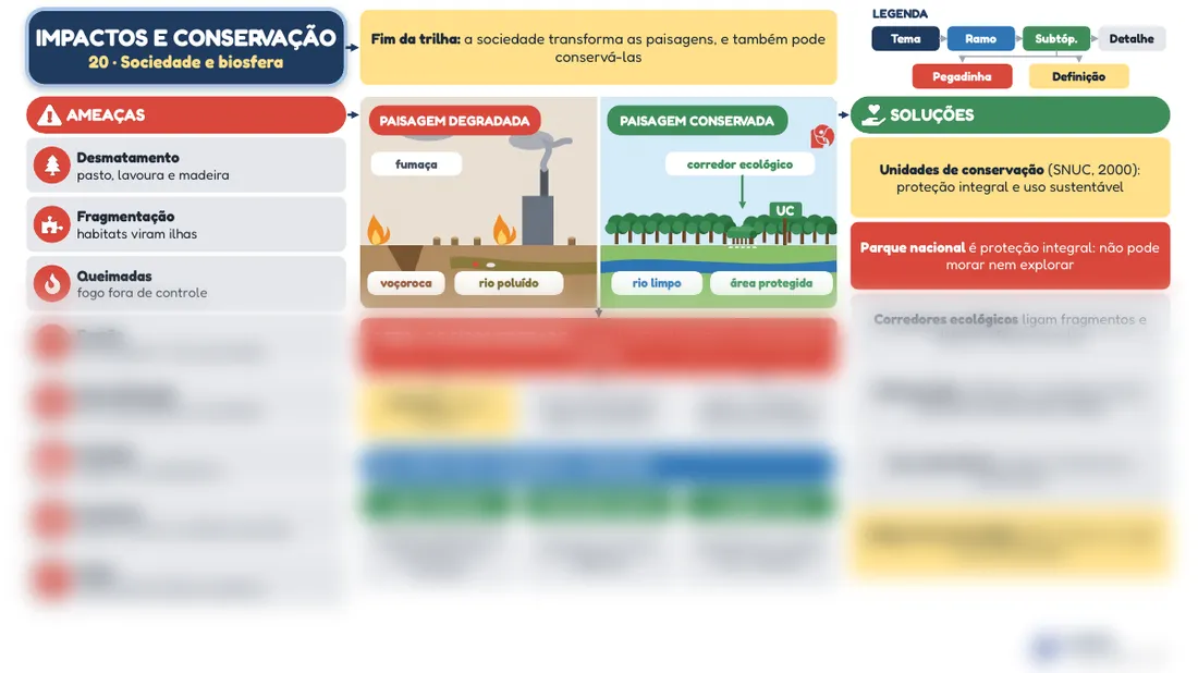 Prévia do mapa mental 20, Impactos e conservação